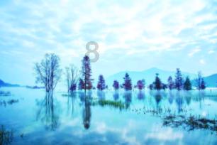 2.9×0.45+0点29×4.2+0点029×13用简便计算计算？游戏画面