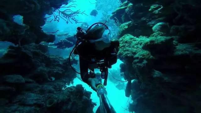 海绵宝宝寻珍宝